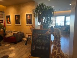 -儿时蒙太奇摄影(亦庄店)