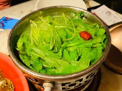-初蓉丨遇见新川菜(亲贤街荣耀店)