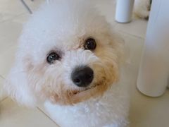 -怪兽屋·羊驼·猫咖·狗咖(俊华广场店)