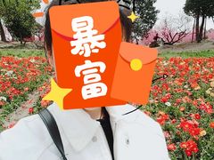 -秀丽东方