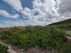 -扁都口生态休闲旅游区