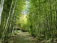 -孤山岛