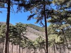 -北京西山国家森林公园