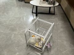 -半岛宠物医院24小时·内窥镜·牙科·碎石中心(府城大道店)