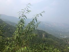 -阳台山自然风景区