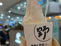 -野人先生Gelato(上海长宁龙之梦店)