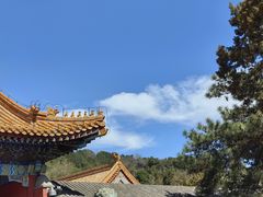 -颐和园