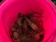 -光头佬钓虾场·烧烤·聚餐·亲子(金沙洲店)