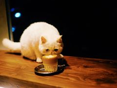 澳白-BE NORMAL CAFE(霞溪路店)