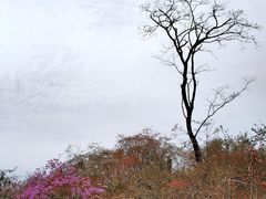-岳西天峡风景区