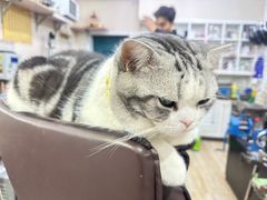 -百金通黄金回收首饰定制维修(珠江路总部)