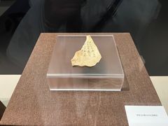 -嘉定博物馆