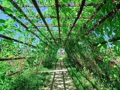 -北纬44度·金珠花海休闲农业旅游景区