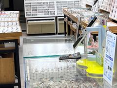 -美式眼镜·授权蔡司.依视路.尼康.豪雅.明月(人民广场店)