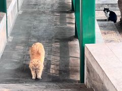 -北京颐和宾馆
