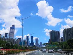 -清溪森林公园