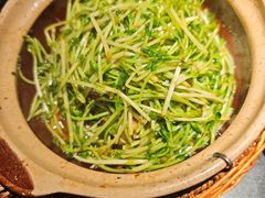 -廖川菜(太阳宫店)
