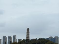 -江心屿景区