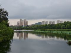 -前关湿地公园