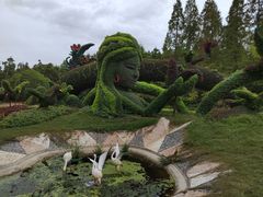 -东平国家森林公园