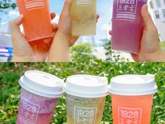 -1828王老吉·草本新茶(珠江新城地铁站店)