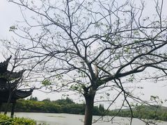 -走马楼饭庄(慈城古县城店)