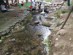 -白水寺森林公园