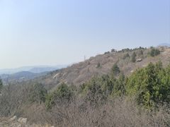 -白水寺森林公园
