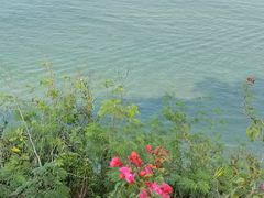 -涠洲岛火山国家地质公园