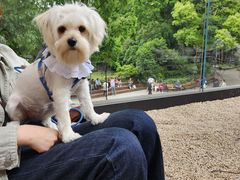 -J Create城市露营咖啡·简餐·宠物(上海动物园店)