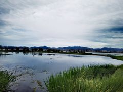-洱海月湿地公园