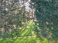 -乌素图国家森林公园