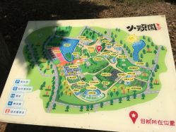 -长沙小顽国景区