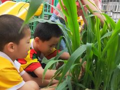 -贝贝佳双语幼儿园(恒富中街校区)