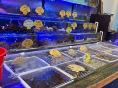 水产区-喜碧海鲜·二十年本土海鲜老字号(上排店)