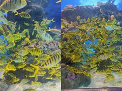 -海合安成都极地海洋公园
