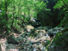 -牛背梁国家森林公园