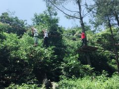 -梦幻奥陶纪景区