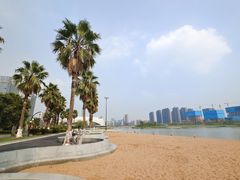 -金沙湖公园
