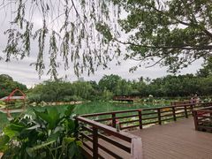 -雲记卢妈冷锅串串(中道街总店)