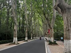 -WeLope紫金山探险公园