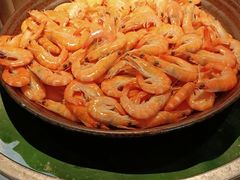 -齐河孔雀王温泉酒店·金孔雀自助百汇