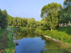-大兴滨河森林公园