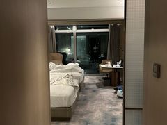 -深圳国际会展中心希尔顿酒店(前海华发冰雪世界店)