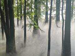 -东湖落雁景区