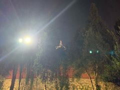 -大雁塔文化休闲景区-北广场