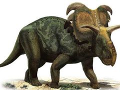 -正佳自然科学博物馆