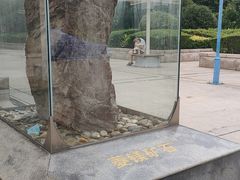 -陕西自然博物馆