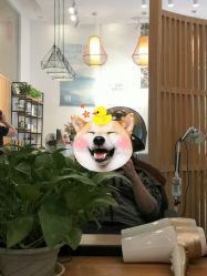 -章光101防脱养发荟