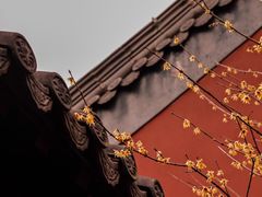 -钱王祠